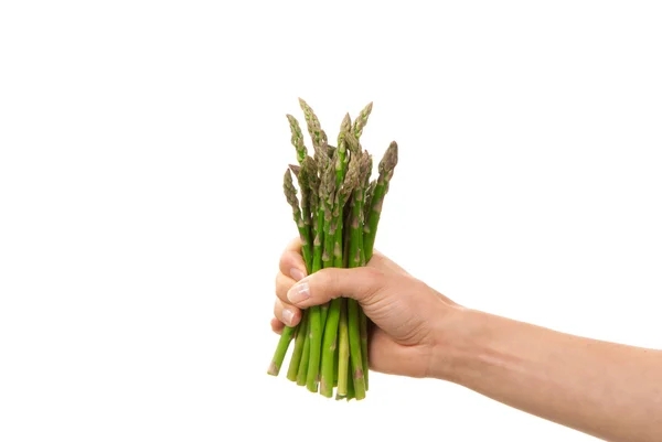 Bunch of asparagus in hand isolated on a white background — Stock Photo, Image