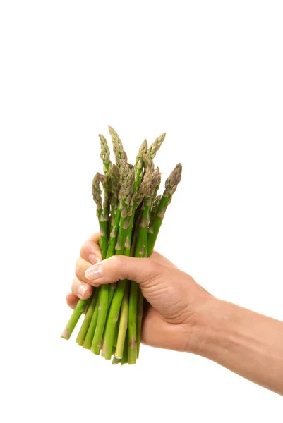 Bunch of fresh green asparagus in hand — Stock Photo, Image