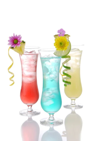 Cocktails margarita martini row alcohol flowers — Stock Photo, Image