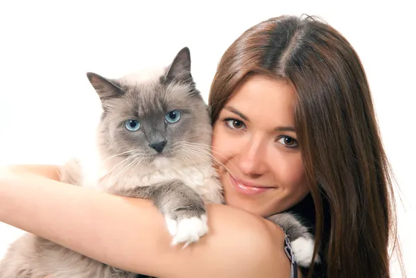 Frau hält ihre schöne Ragdoll-Katze mit blauem Auge — Stockfoto