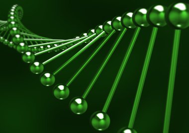 DNA