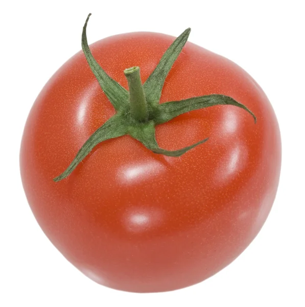 Красный помидор с зелёной палкой — стоковое фото