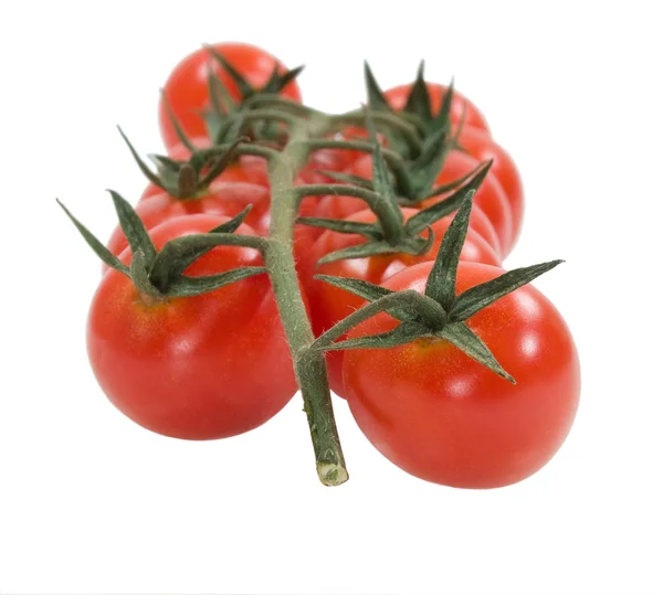Cereja de tomate — Fotografia de Stock