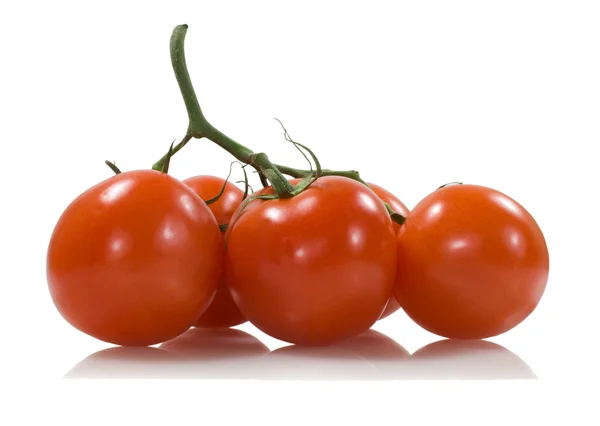 Cinco tomates rojos con un palo verde —  Fotos de Stock