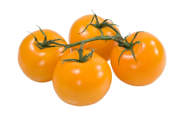 Żółte pomidory — Zdjęcie stockowe