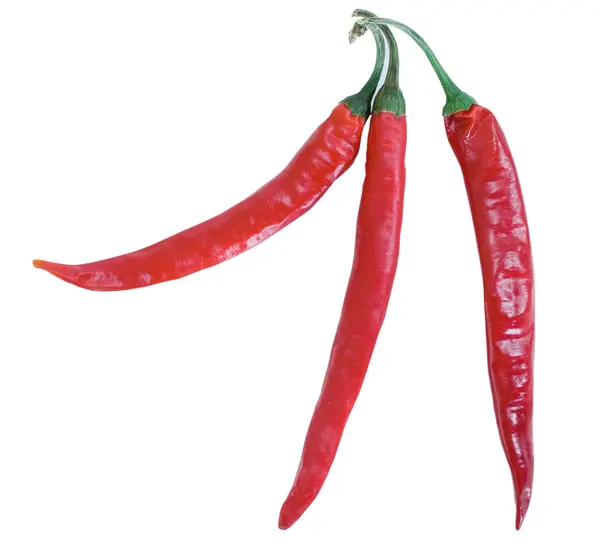 Three red chilly peppers with green sticks — Stock Photo, Image