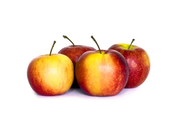 Четыре яблока . — стоковое фото