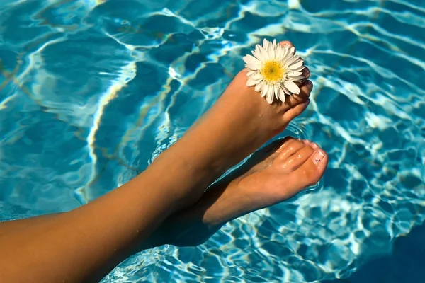 Stock image Women's feet