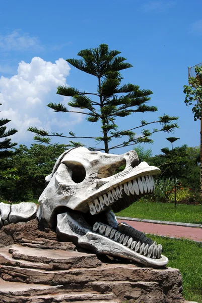 Teschio di dinosauro — Foto Stock