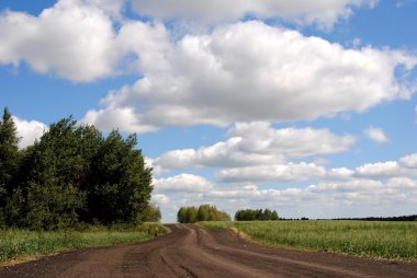 ağaç bulutlar altında giden yol.