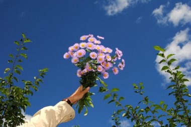 Bouquet of asters against the blue sky clipart