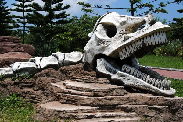 Breadboard model van een schedel van een dinosaurus in park — Stockfoto