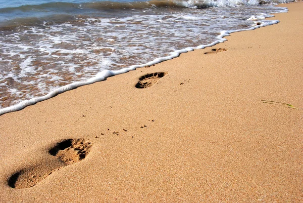 Ślady na piasku nadmorskim — Zdjęcie stockowe