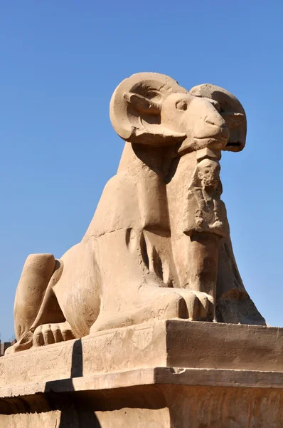 La structure égyptienne dans le temple Karnaksky — Photo