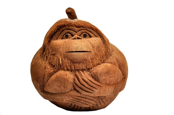 stock image Monkey from a coco