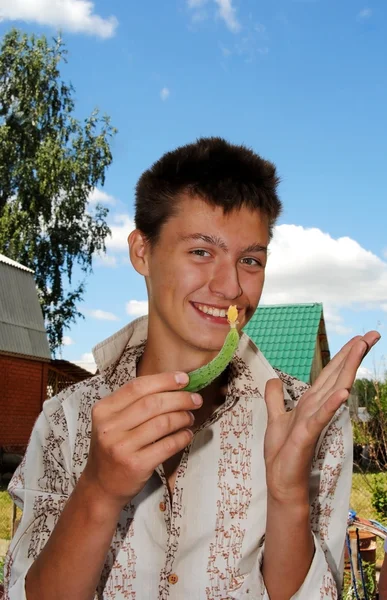 Il ragazzo di sedici anni con un giovane cetriolo in una residenza estiva — Foto Stock