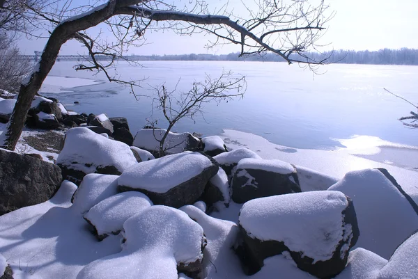 Зимний Пейзаж Парке — стоковое фото