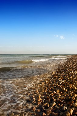 su altında bir manzara renkli tür