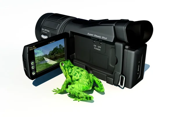Kurbağa ve kamera — Stok fotoğraf