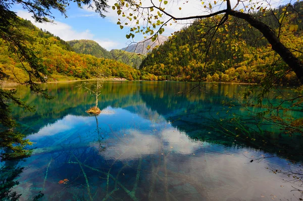 Kína jiuzhaigou erdő és tó táj — Stock Fotó