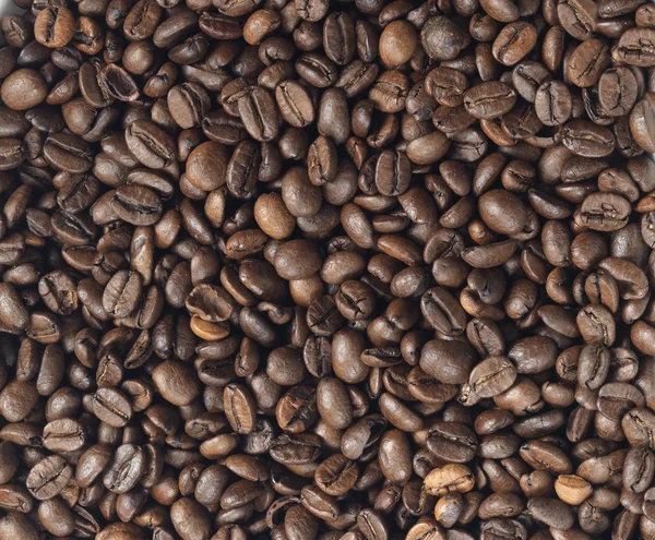 Sfondo di chicchi di caffè — Foto Stock