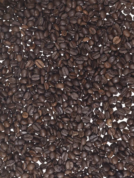 Contexto dos grãos de café — Fotografia de Stock