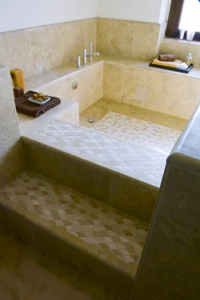 Sprcha Prosklenými Dveřmi Moderní Koupelně Klasická Vana Zdi Ručník — Stock fotografie