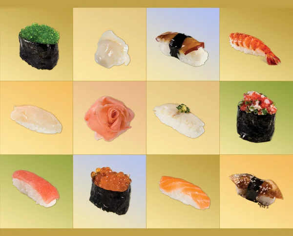 Eine Sammlung von Sushi isoliert auf einem farbigen Hintergrund — Stockfoto