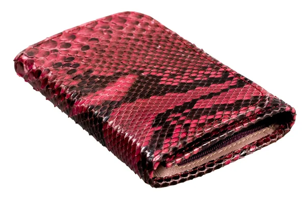 stock image Snake leather wallet