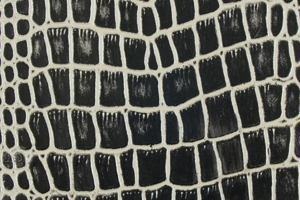 Tekstura tło wąż czarno-białe skórzane — Zdjęcie stockowe