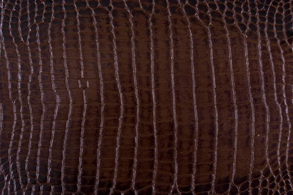 stock image Texture background brown snake leather