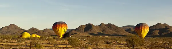 Serin Bir Arizona Sabahı Kaldırmaya Hazırlanıyor Bazı Sıcak Hava Balonları — Stok fotoğraf