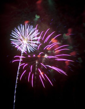 A fireworks display in the night sky over Tonopah Arizona on July 4th 2010. clipart