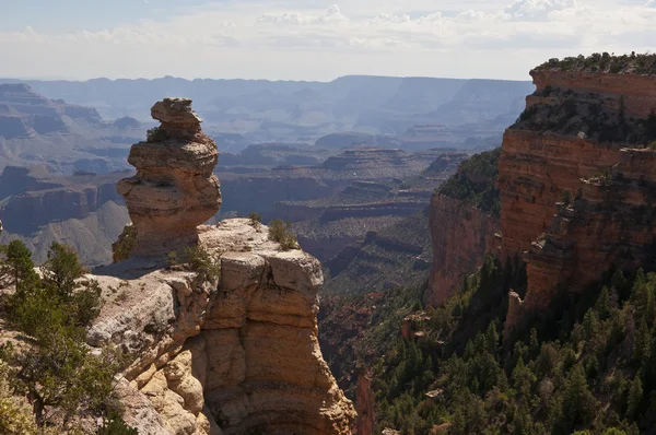 Une Vue Grand Canyon Matin — Photo