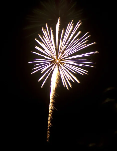 stock image Shooting Star