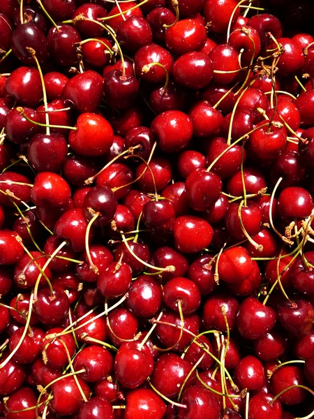 stock image Sweet cherries