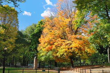 Fall Leaves in Central Park clipart