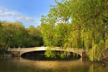 Central Park Bridge clipart