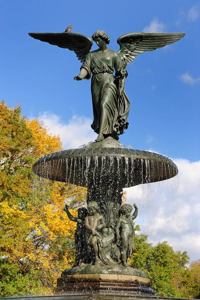 Central Park Fountain — Stock Photo, Image