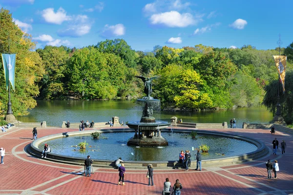 Central park fontän — Stockfoto