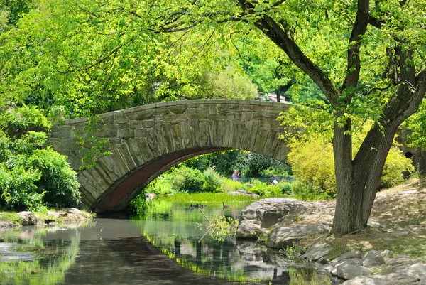 Estanque de Central Park — Foto de Stock