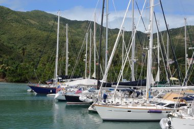 Dadı cay içinde tortola, İngiliz virgin adaları iskelede adlı yatlar.