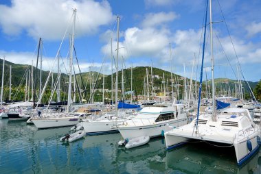 Yat ve yelkenli, dadı cay tortola, İngiliz virgin Adaları içinde limanda.