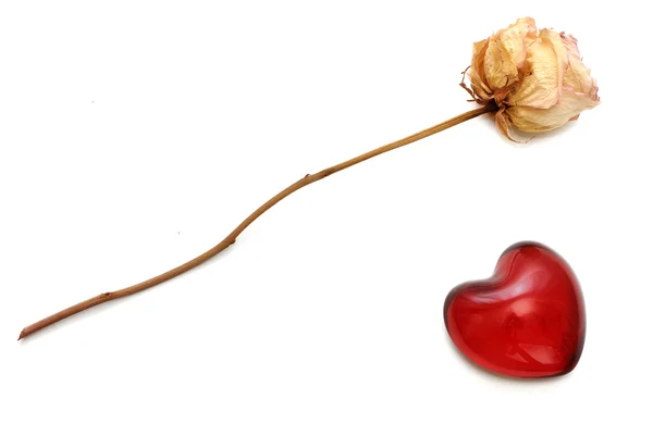 Sušené Růže Srdce Těžítko Izolované Bílém — Stock fotografie