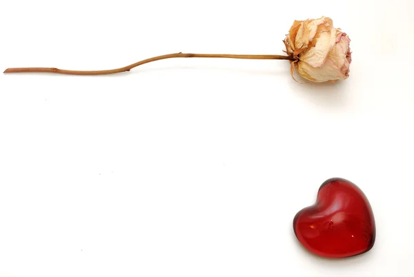 Gedroogde roos bloemblad en hart — Stockfoto