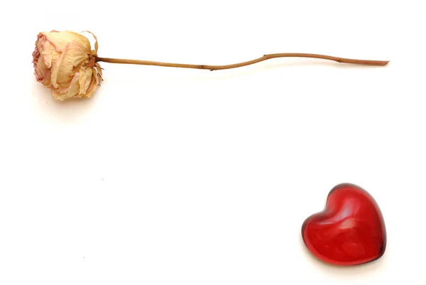 Rosa Seca Peso Papel Coração Isolado Branco — Fotografia de Stock