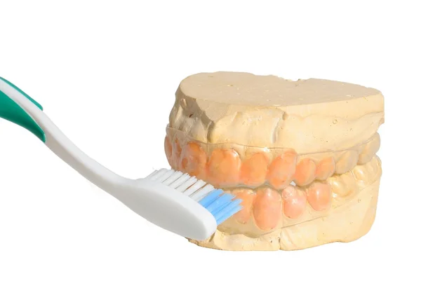 Δόντια cast — Φωτογραφία Αρχείου