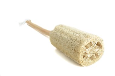 A sea sponge for natural bathing clipart