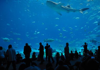 Georgia Aquarium Food Court clipart