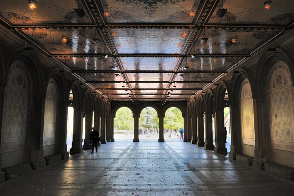 Central Park Lower Passage — Stock Photo, Image